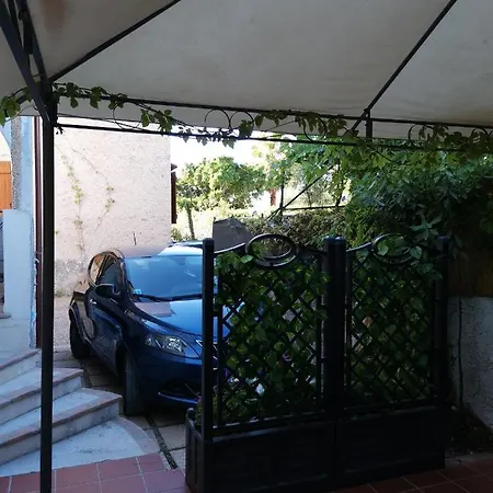 Tancau