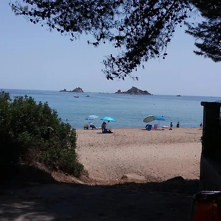 Tancau *